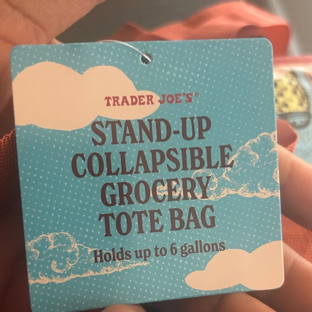 Trader Joe's Stand-Up Collapsible Grocery Tote Bags 6 Gallon 2-Pack Multicolor - Picture 3 of 9